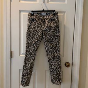 Women’s Loft Modern Skinny